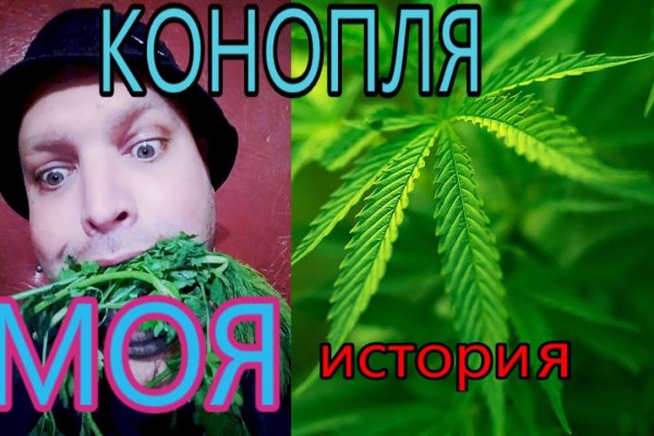 Кракена точка нет