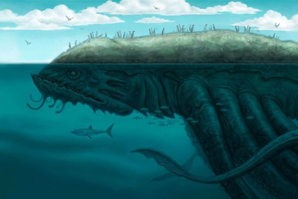 Kraken 13 at com