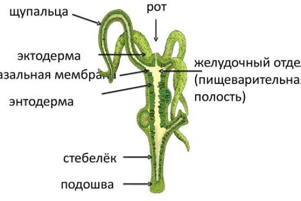 Кракен маркетплейс kraken clear com