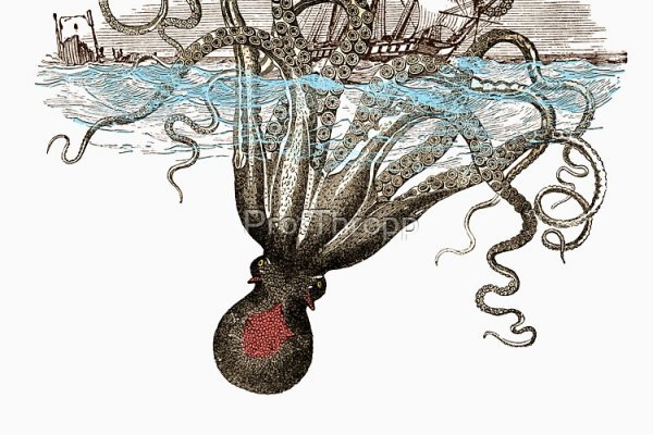 Kraken 5at