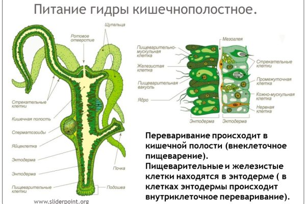 Что такое кракен маркет торкнет