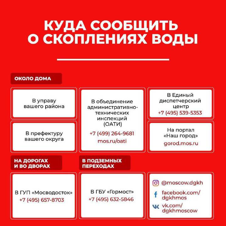 Кракен даркнет купить