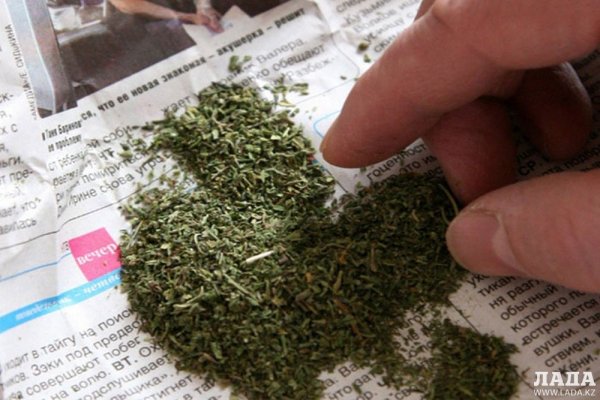 Кракен маркетплейс откуда взялся