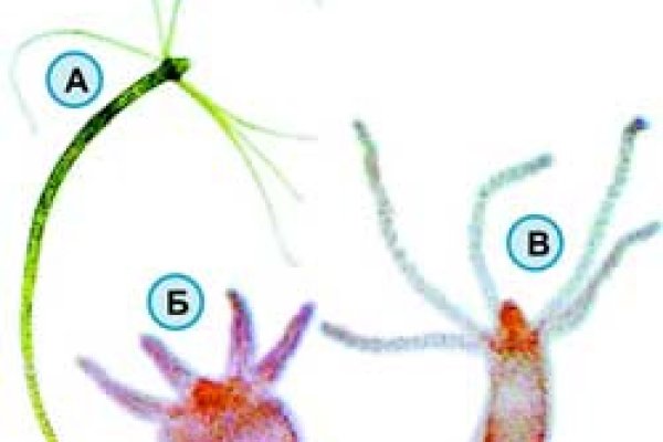 Kraken наркотики сайт