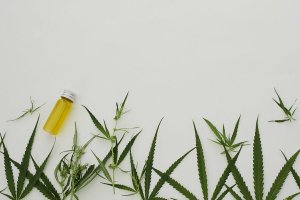 Кракен продает наркотики